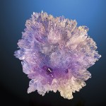 Radialstrahlig gewachsene Amethystkristalle „Floweramethyst"